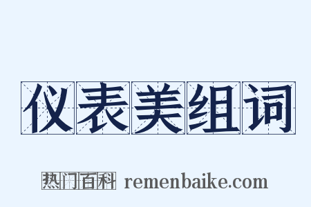 仪表美组词是什么意思的图片